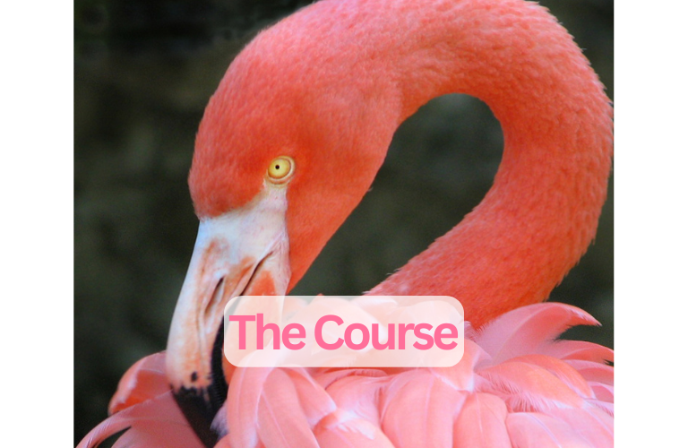 mind training helpings the course