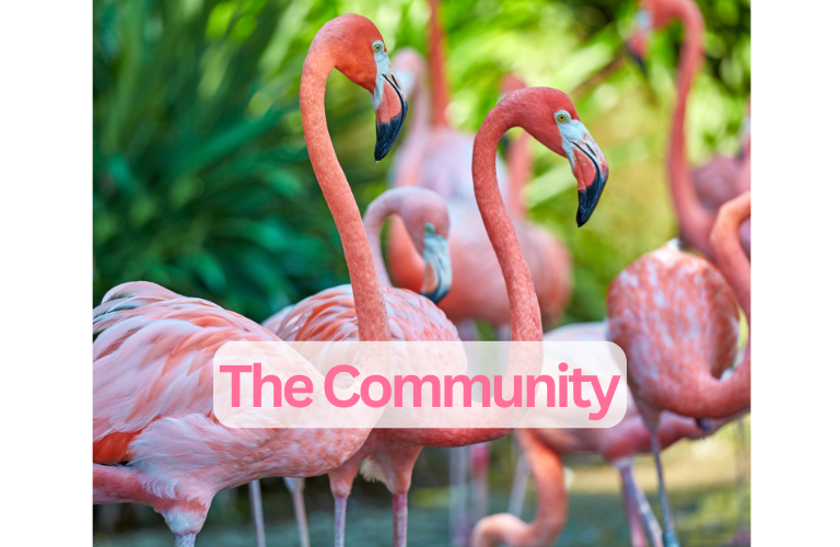 mind training helpings the community